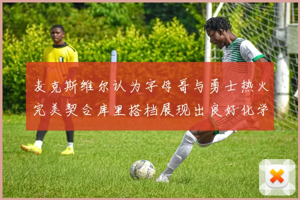 麦克斯维尔认为字母哥与勇士热火完美契合库里搭档展现出良好化学反应